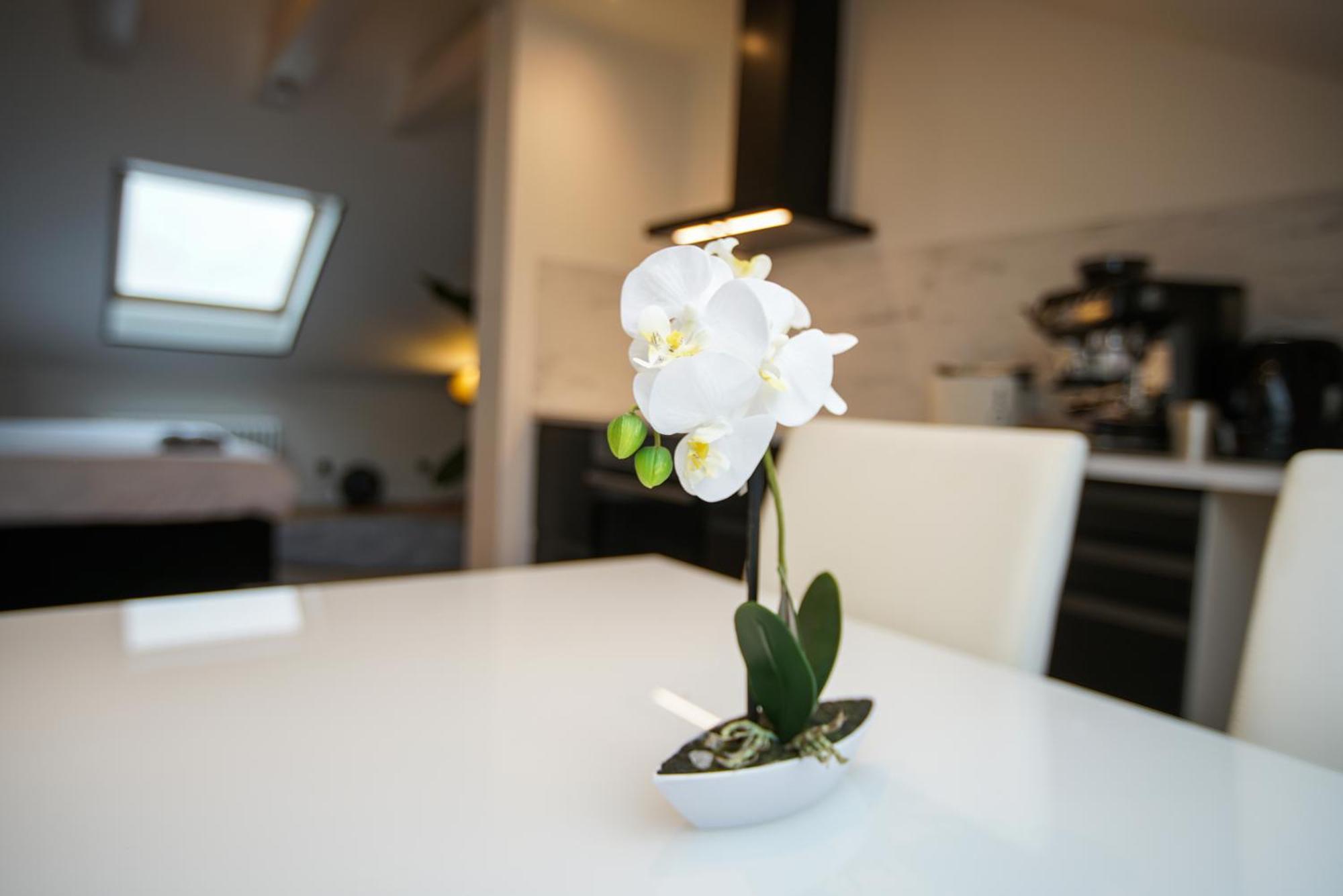 George Apartment Düsseldorf Kültér fotó